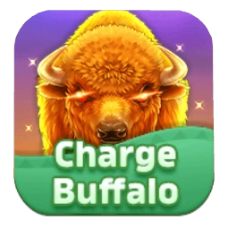 chargeBuffalo