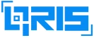 QRIS