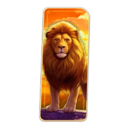 Lion Safari