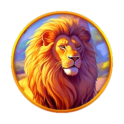 Lion Safari