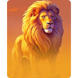 Lion Safari