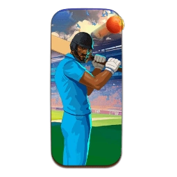 Crash Cricket