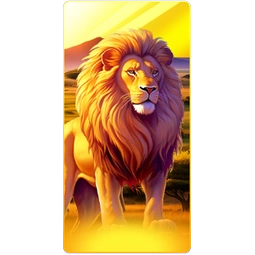 Lion Safari